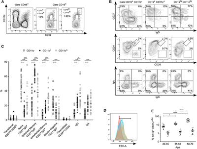 CD11c+ B Cells Are Mainly Memory Cells, Precursors of <mark class="highlighted">Antibody Secreting Cells</mark> in Healthy Donors